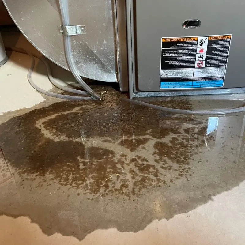 Pipe Burst and Leak Restoration in Steuben County, IN