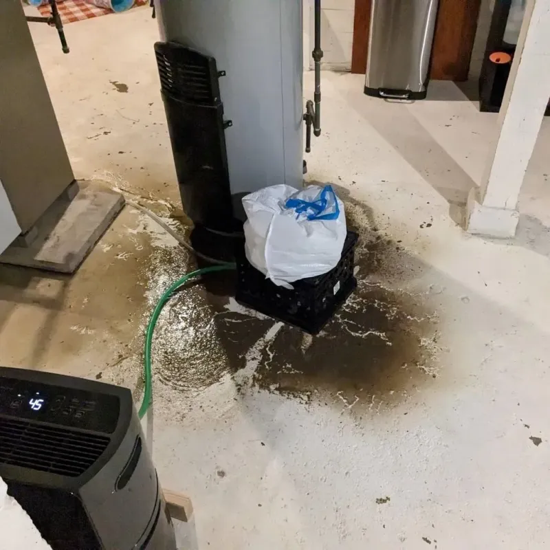 Sewage Backup Cleanup Service in Steuben County, IN